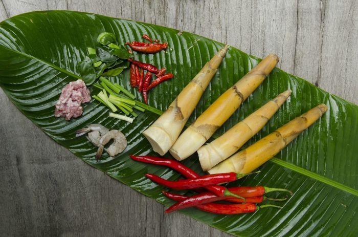 Bamboo shoots cook baby prepare delightful garlic flavors crunchy bring texture take them